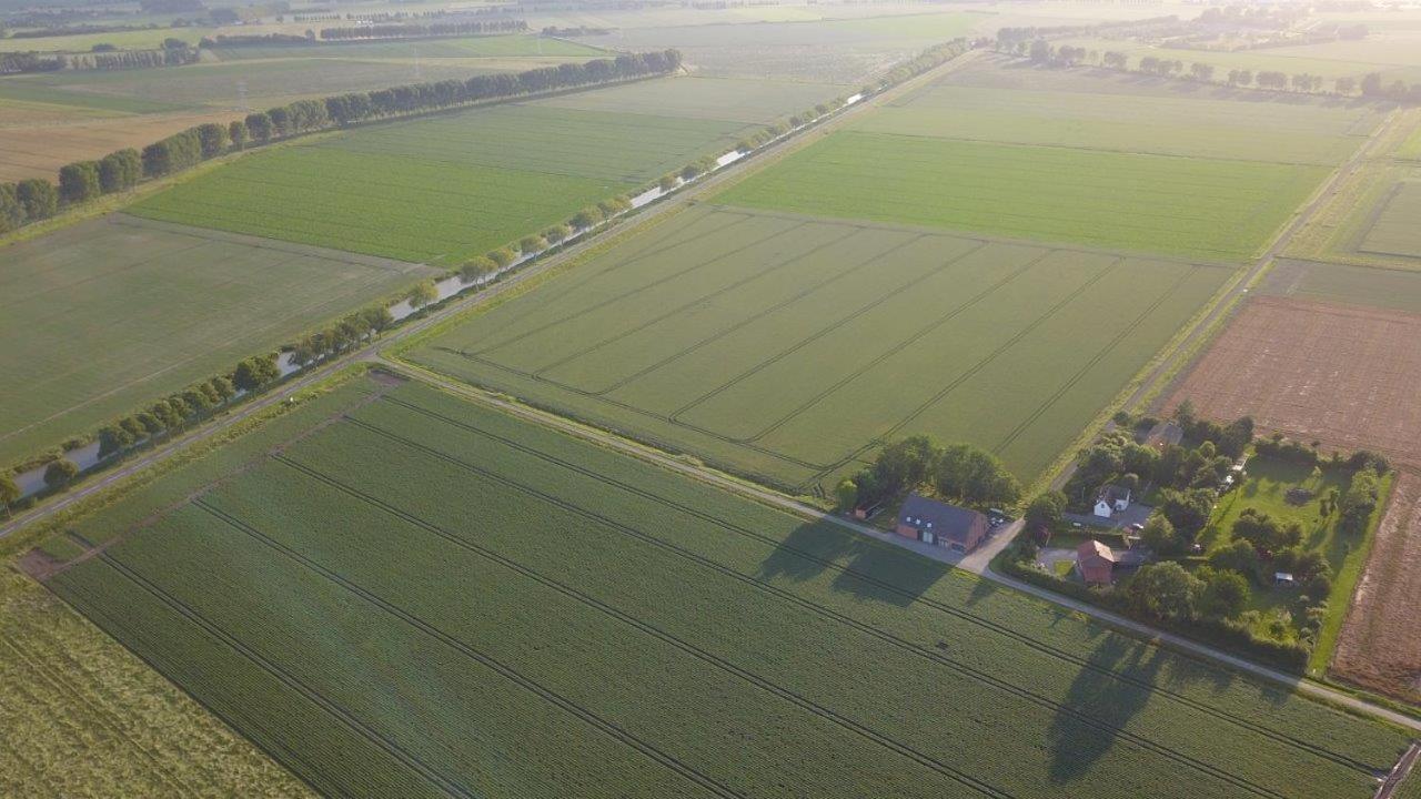 B&B2B Zeeland IJzendijke Eksteriør billede