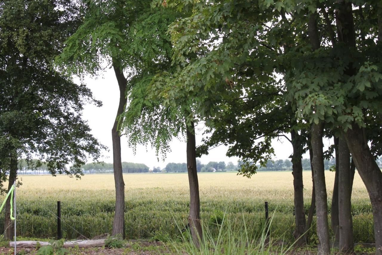 B&B2B Zeeland IJzendijke Eksteriør billede